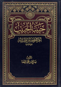 حبيبة الحبيب عائشة أم المؤمنين