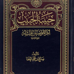 حبيبة الحبيب عائشة أم المؤمنين