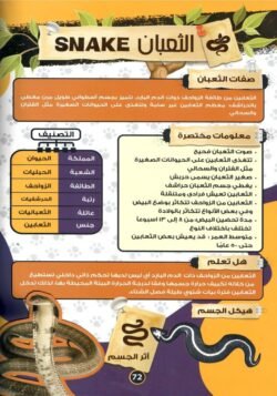 ⁦الموسوعة العلمية للأطفال – الجزء 1: قصص الحيوان في القرآن الكريم⁩ - الصورة ⁦5⁩