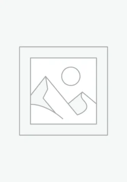 عنصر نائب Placeholder